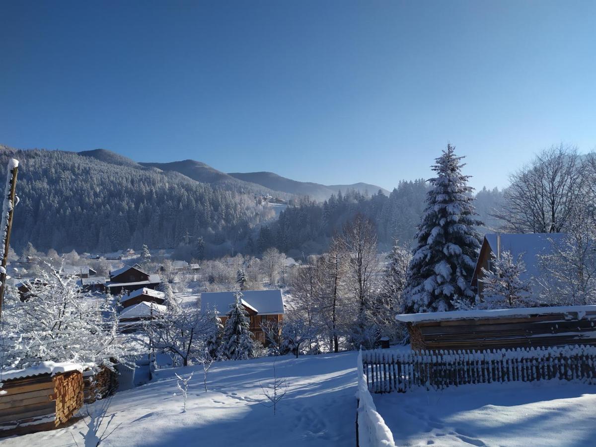 Бриндуш Villa Tatariv Exteriör bild