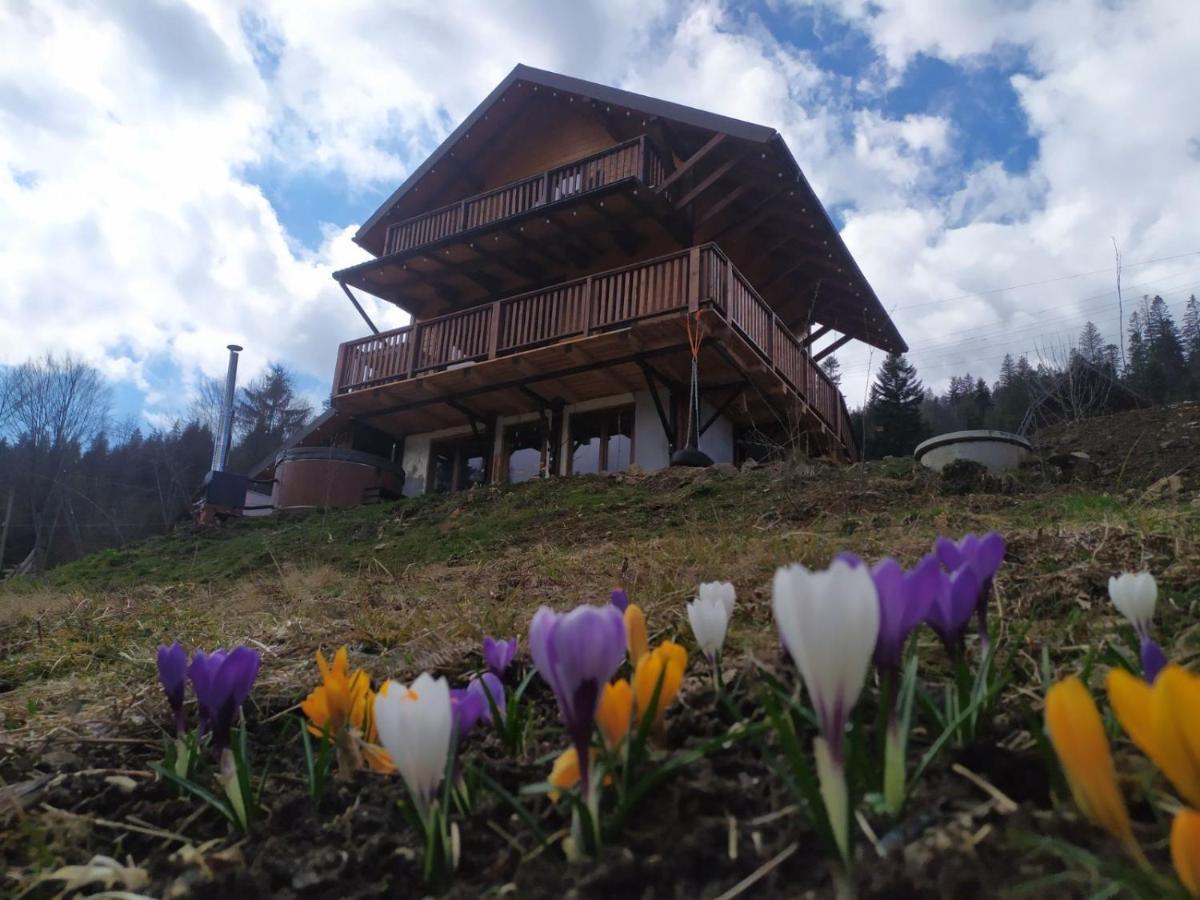Бриндуш Villa Tatariv Exteriör bild