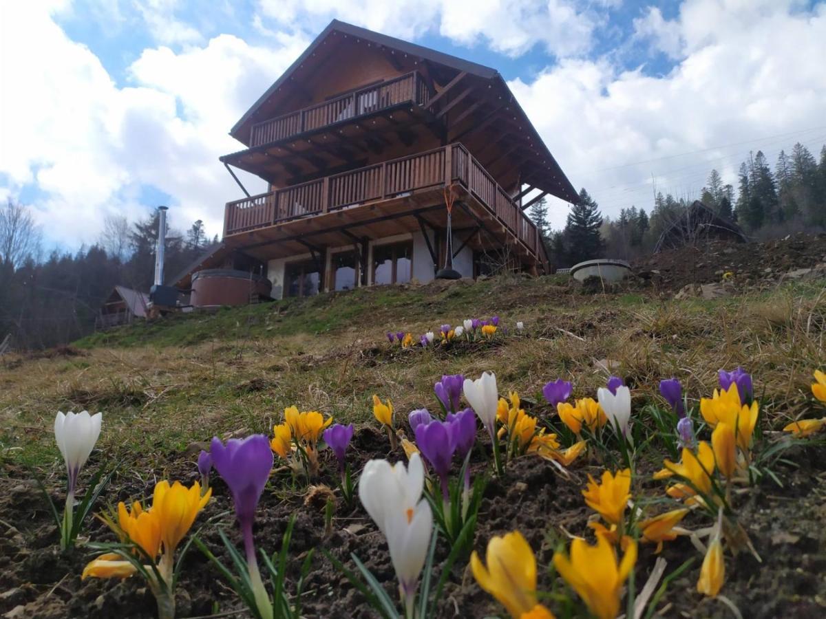 Бриндуш Villa Tatariv Exteriör bild